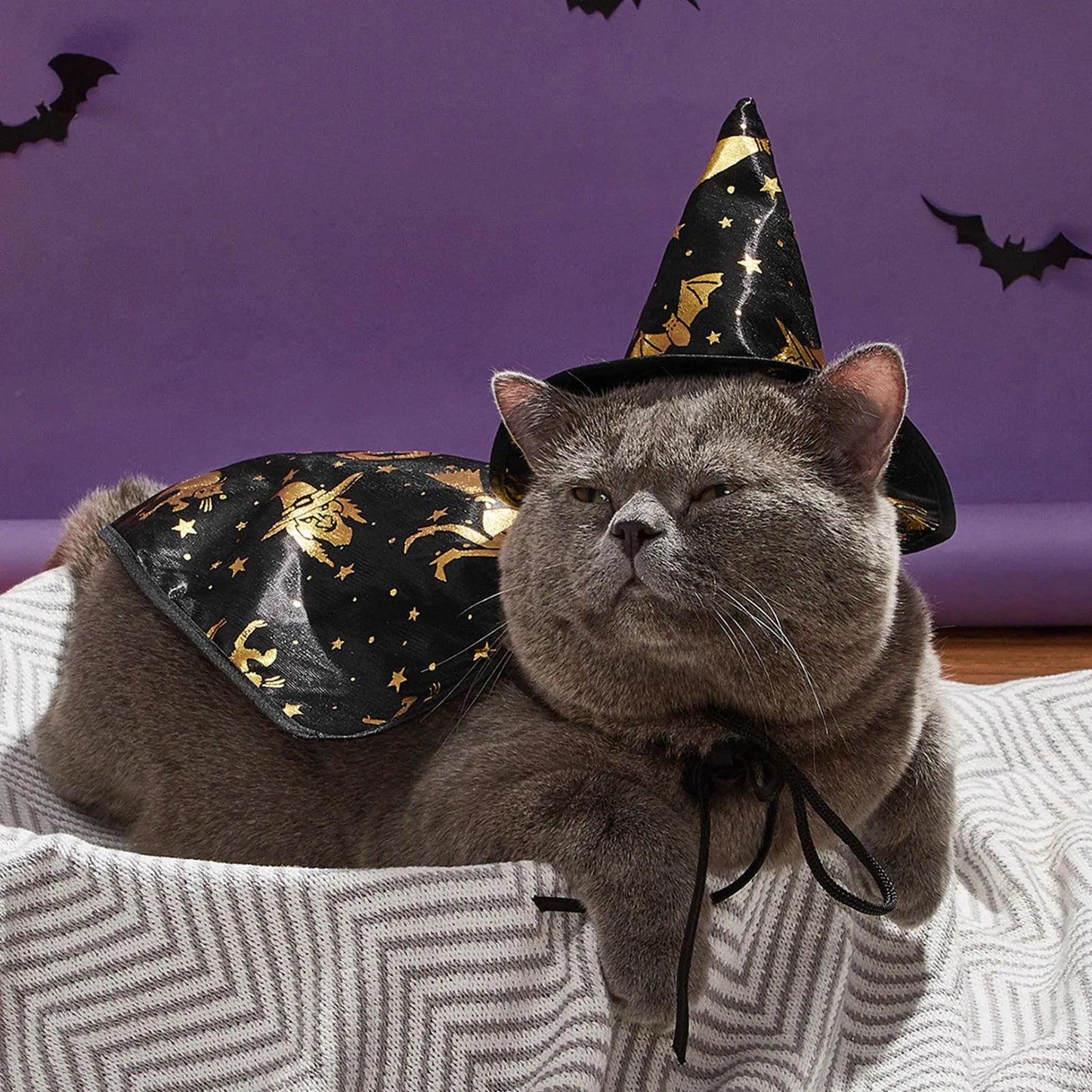 Halloween Pet Costume, Cloak and Hat Set