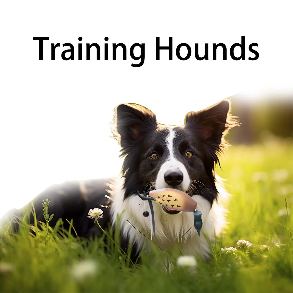 Bird Fetch Dog Training Equipment