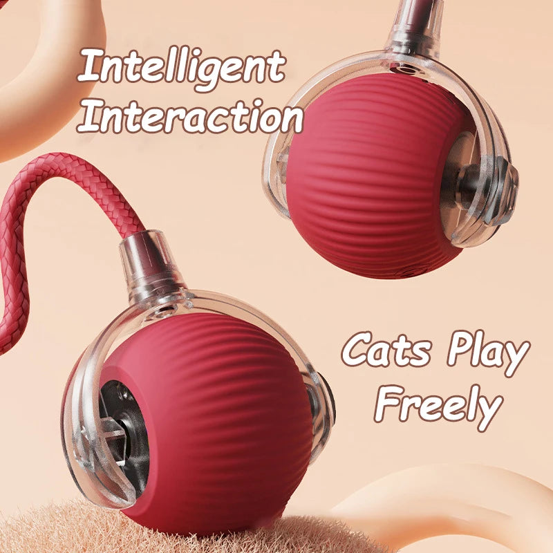 Rechargeable, Interactive Rolling Cat Ball (2pc)
