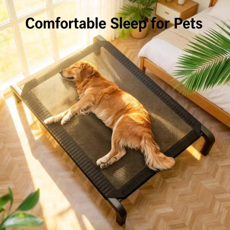 Ventilated, Portable Elevated Dog Bed
