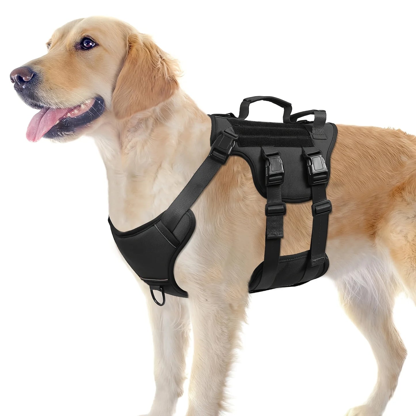 Adjustable No-Pull Design Harness with Reflective Strips