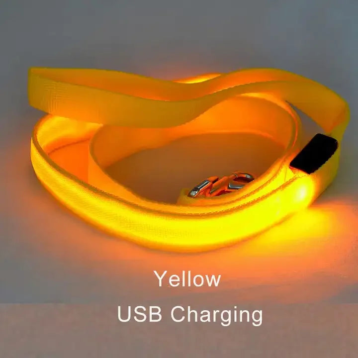 LED Rechargeable Luminous Lead Rope for Dogs