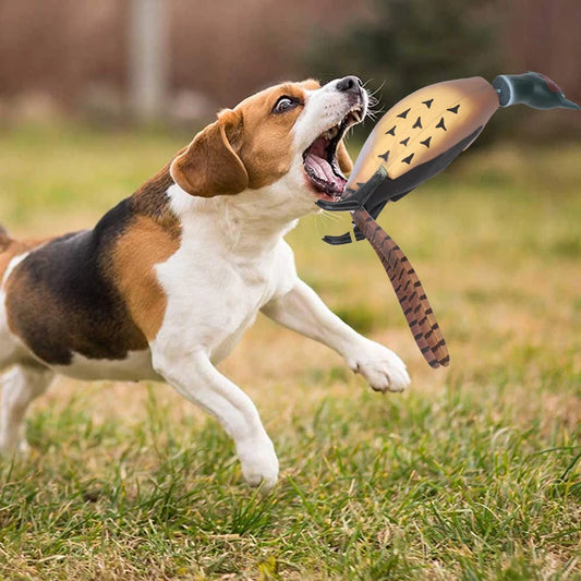 Pheasant Toy, Retrieval Training for Bird Dogs