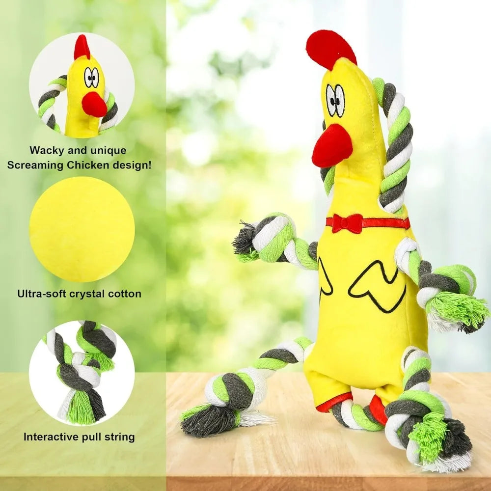 Squeaky Plush, Tug of War Dog Toy