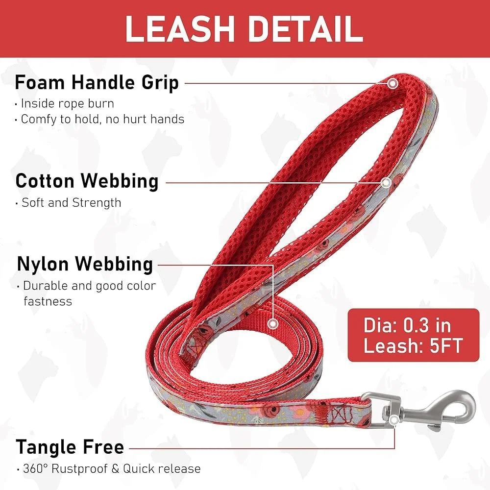 Adjustable Harness, Collar, Leash Set for Pets
