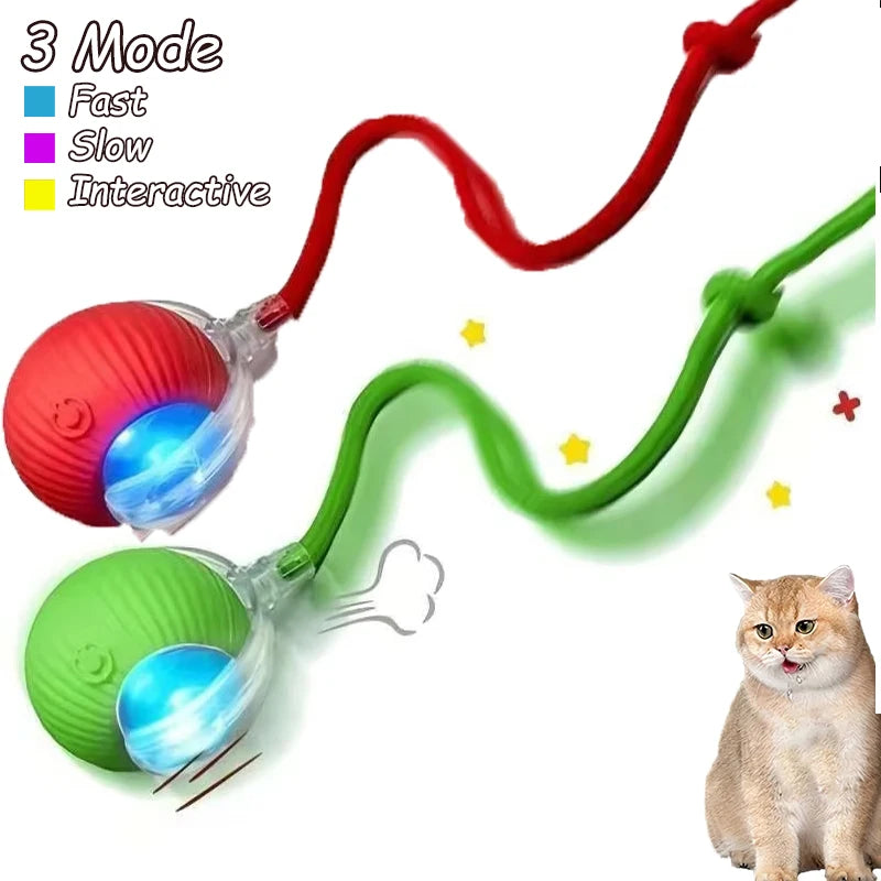 Rechargeable, Interactive Rolling Cat Ball (2pc)