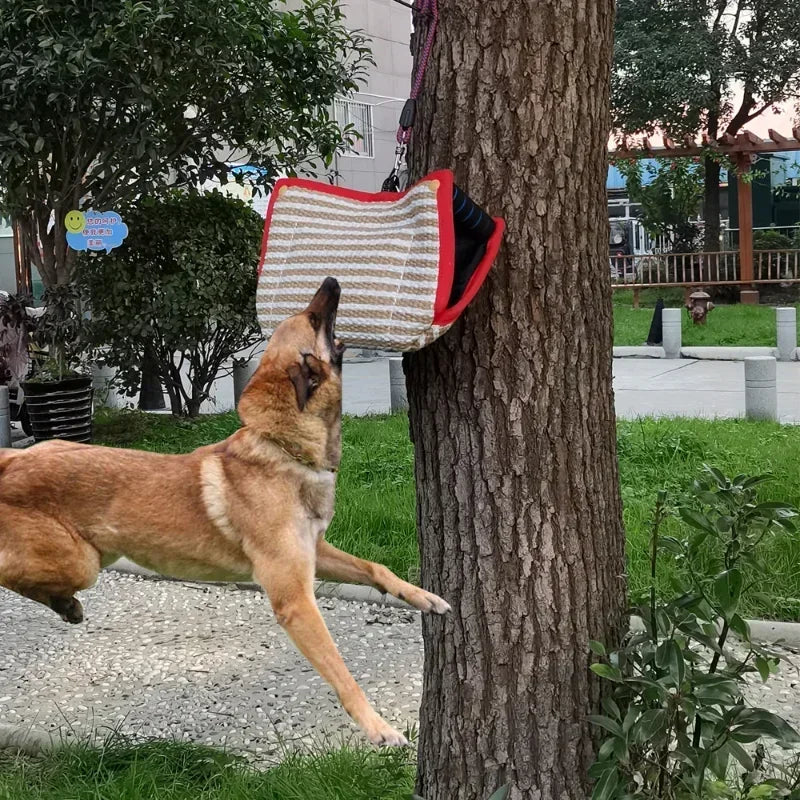 Durable Bite Resistant Pillow for Training with Dogs