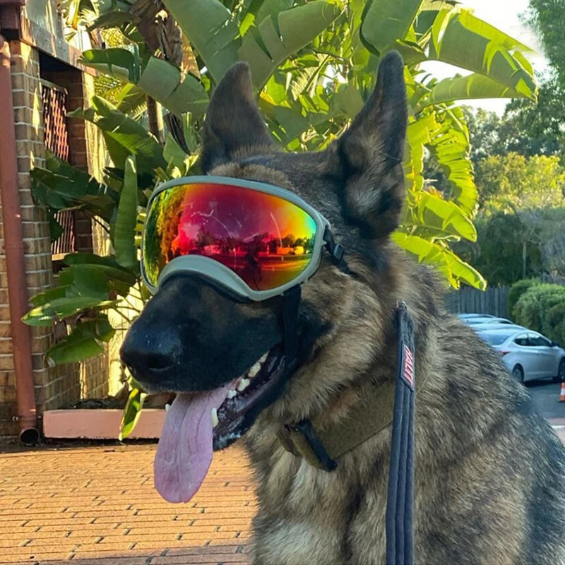 Anti-UV Goggle Sunglasses Eyewear Protection for Dogs