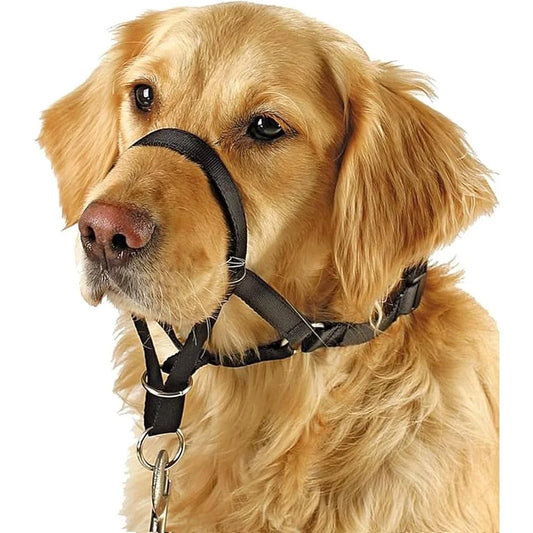 No Pull Head Collar Training Harness for Dogs