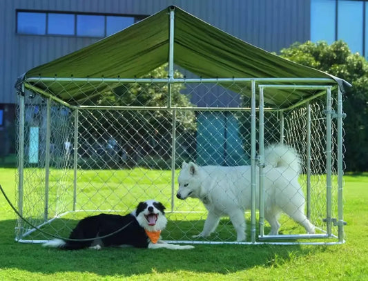 Heavy Duty Outdoor Pet Enclosure with Secure Lock (6.56‘x 6.56’)