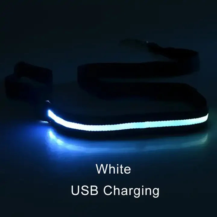 LED Rechargeable Luminous Lead Rope for Dogs