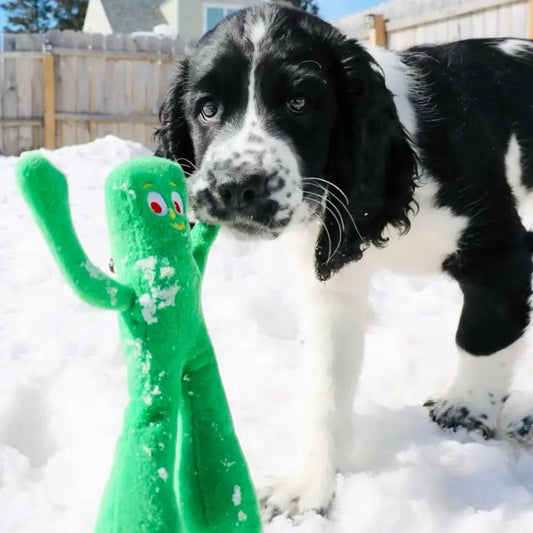 Plush Gumby, Non-Aggressive Chewers Dog Toy