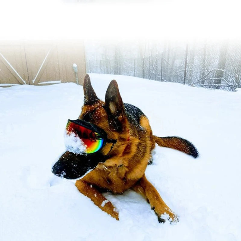 Anti-UV Goggle Sunglasses Eyewear Protection for Dogs