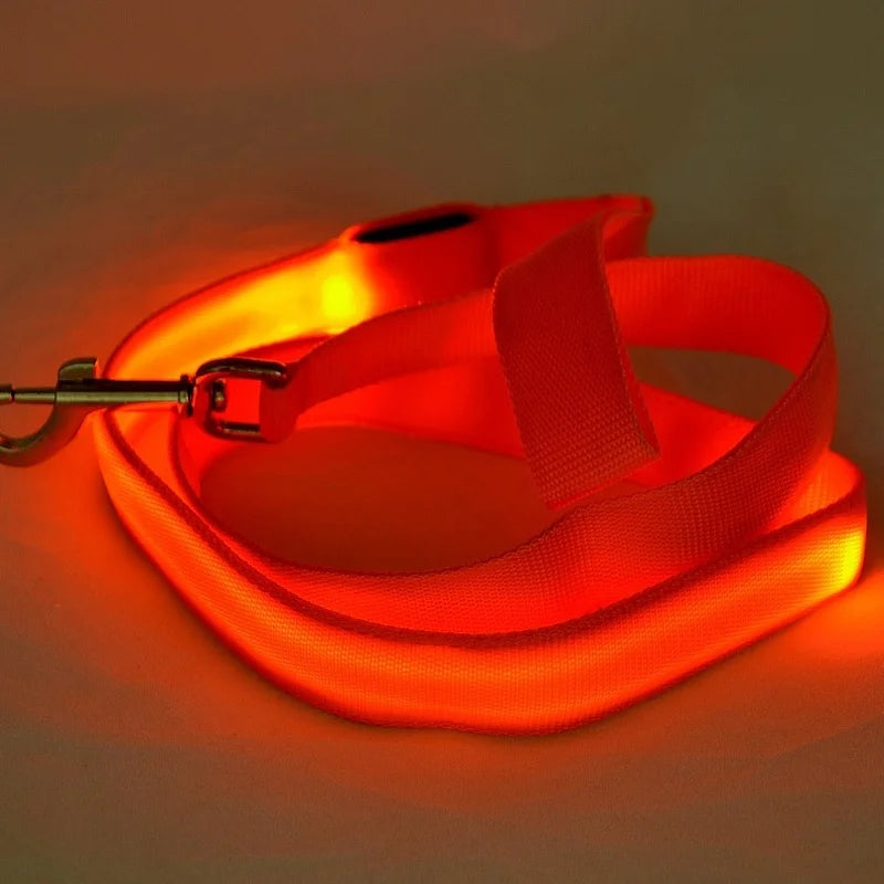 LED Rechargeable Luminous Lead Rope for Dogs