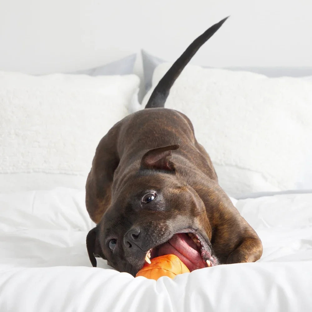 Orange Rubber Ball Chew Toy for Dogs