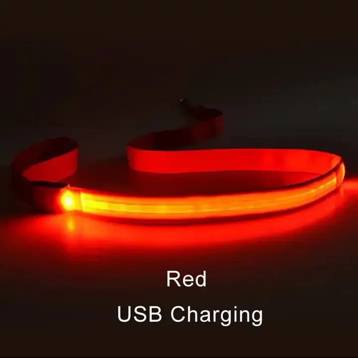 LED Rechargeable Luminous Lead Rope for Dogs