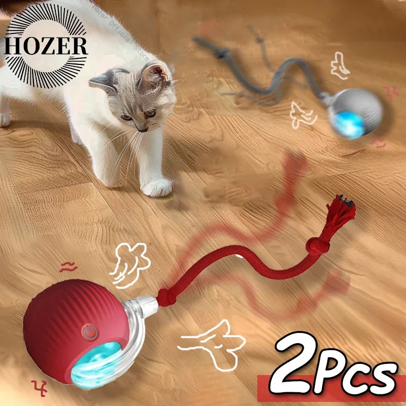 Rechargeable, Interactive Rolling Cat Ball (2pc)