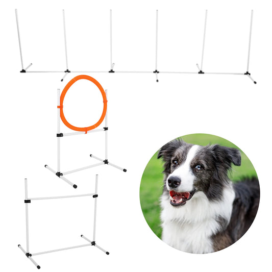 Adjustable Agility Dog Training Course Equipment