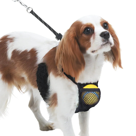 Non-Pulling Dog Harness with Storage Pouch, Adjustable and Reflective