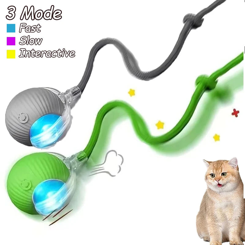 Rechargeable, Interactive Rolling Cat Ball (2pc)