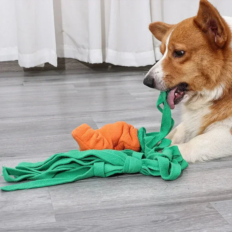 Carrot Shaped Snuffle Training Toy