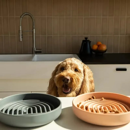 Silicone Slow Feeder Anti-Choking Food Bowl
