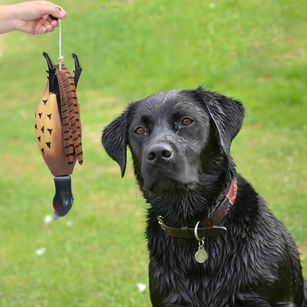 Pheasant Toy, Retrieval Training for Bird Dogs