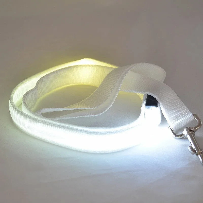 LED Rechargeable Luminous Lead Rope for Dogs