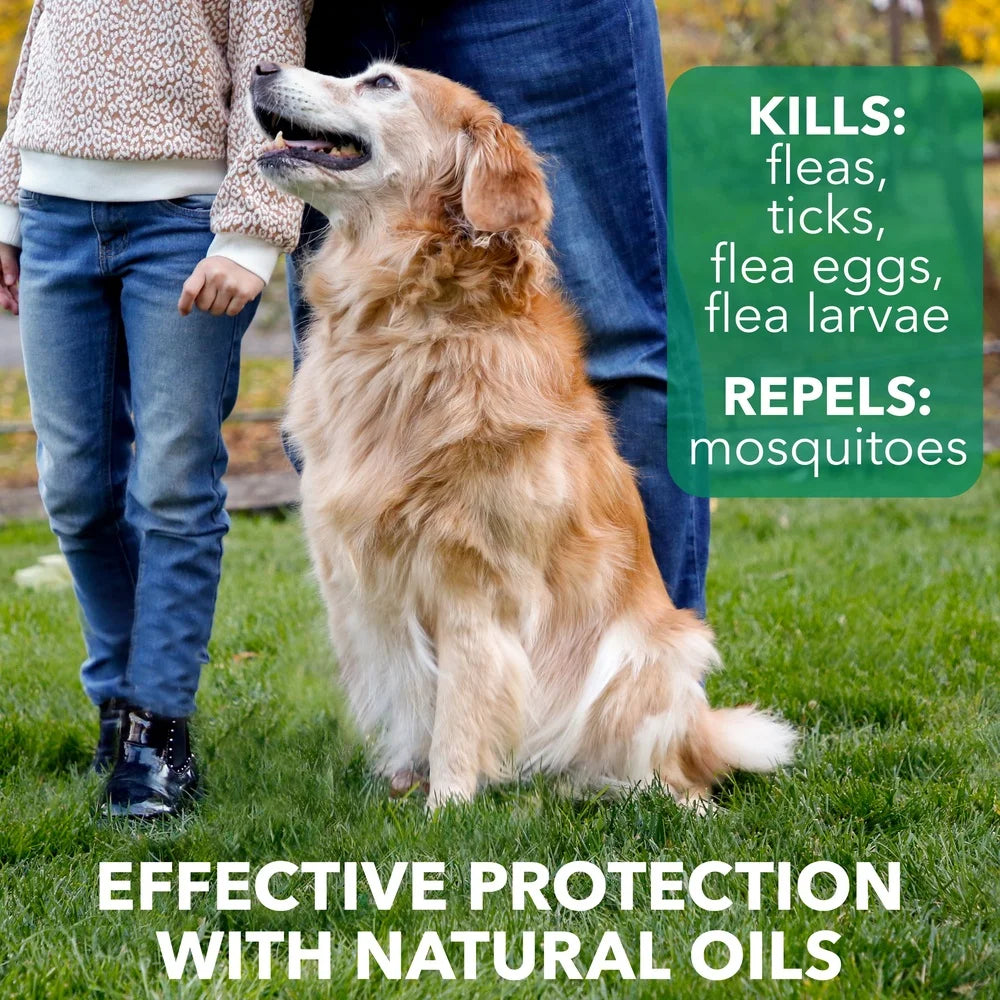 Mosquito Repellent 14oz Natural Flea & Tick Shampoo
