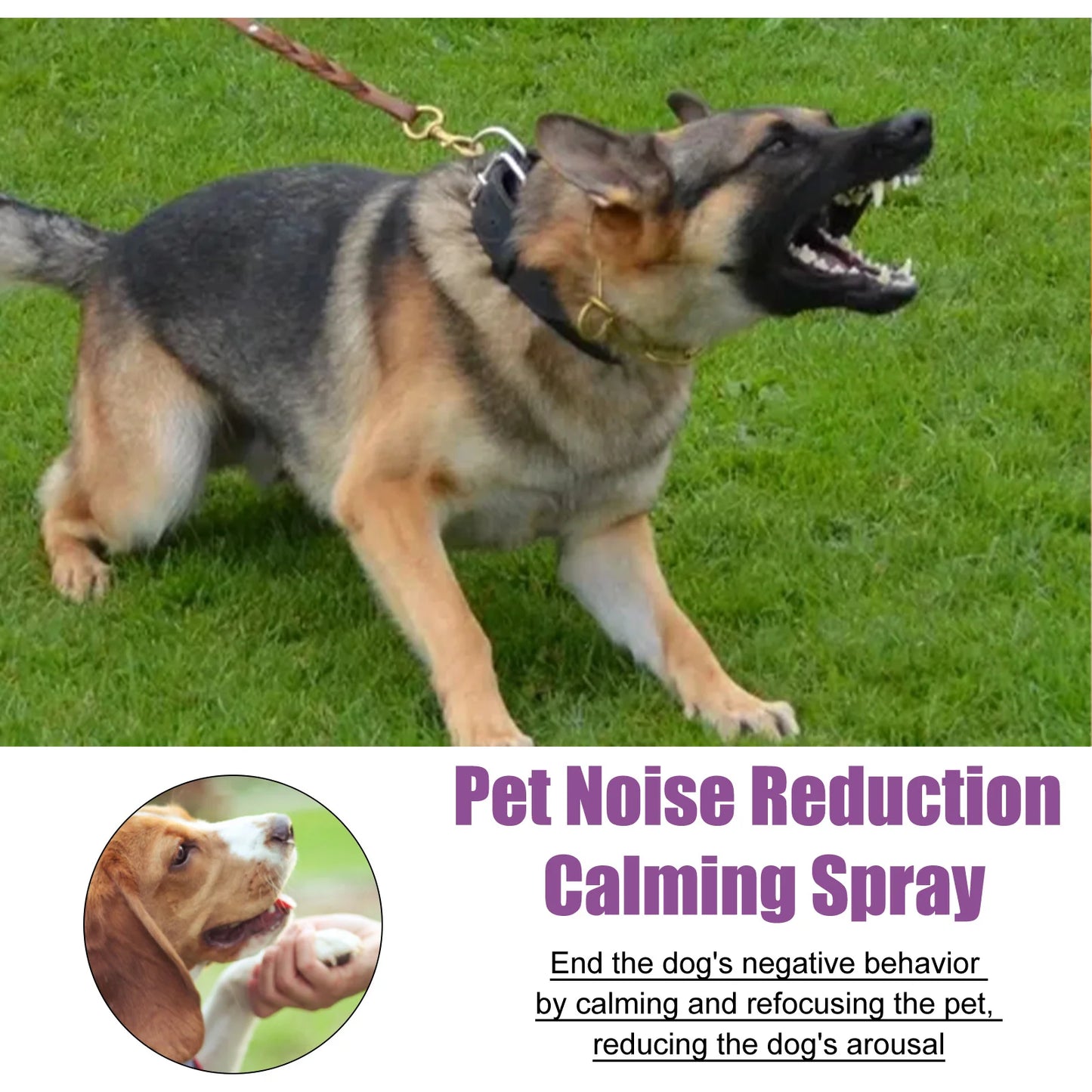 Nervous Relief Mood Sedation Spray for Dogs
