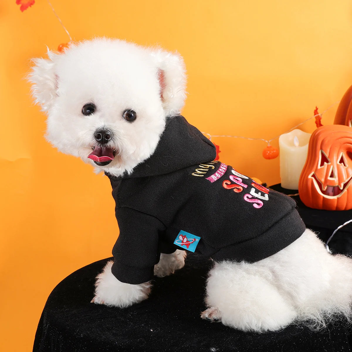 Hooded Open Button Halloween Sweater Jacket for Pets