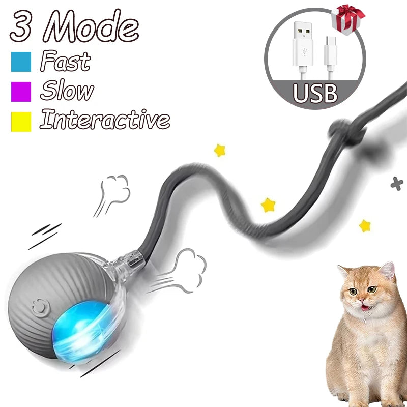 Rechargeable, Interactive Rolling Cat Ball (2pc)