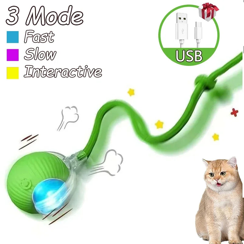 Rechargeable, Interactive Rolling Cat Ball (2pc)