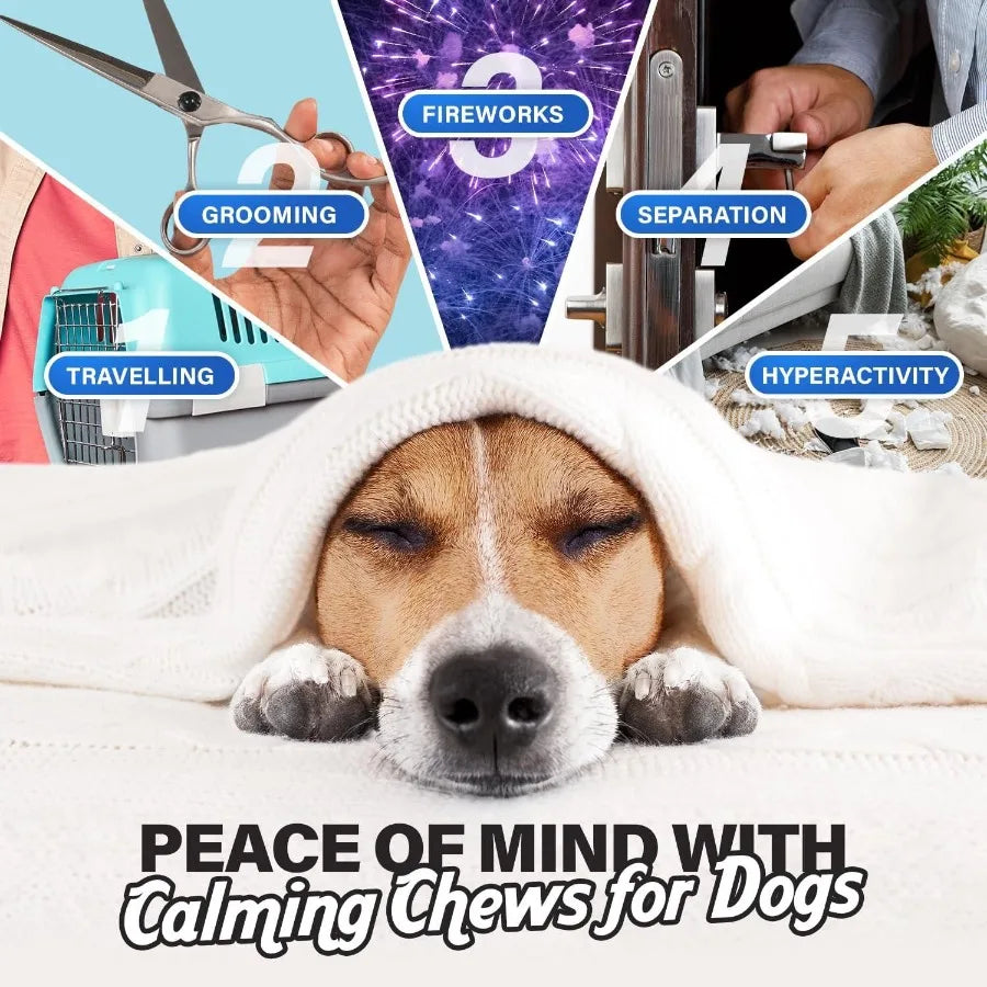 Calming Chews, Anxiety Relief for Dogs