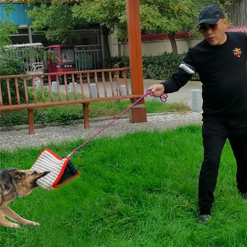 Durable Bite Resistant Pillow for Training with Dogs
