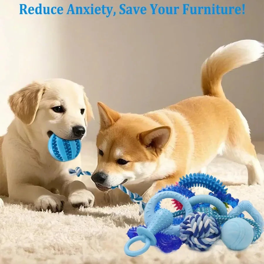 Small Breed 20pcs Dog Toys, Teething Rings and Ropes