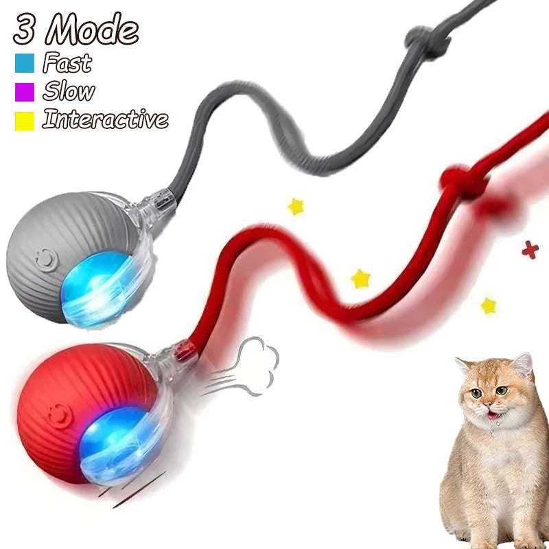 Rechargeable, Interactive Rolling Cat Ball (2pc)