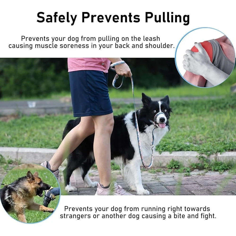 Anti-Pulling Snout Harness, Dog Training Tool
