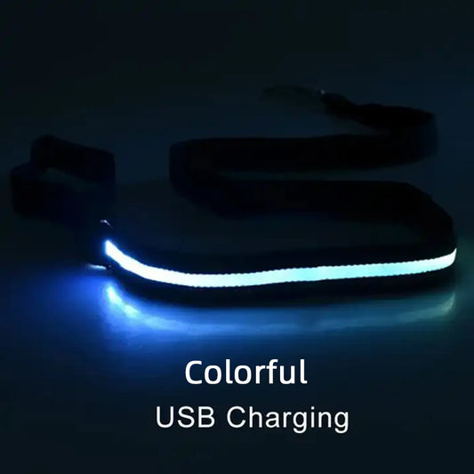 LED Rechargeable Luminous Lead Rope for Dogs