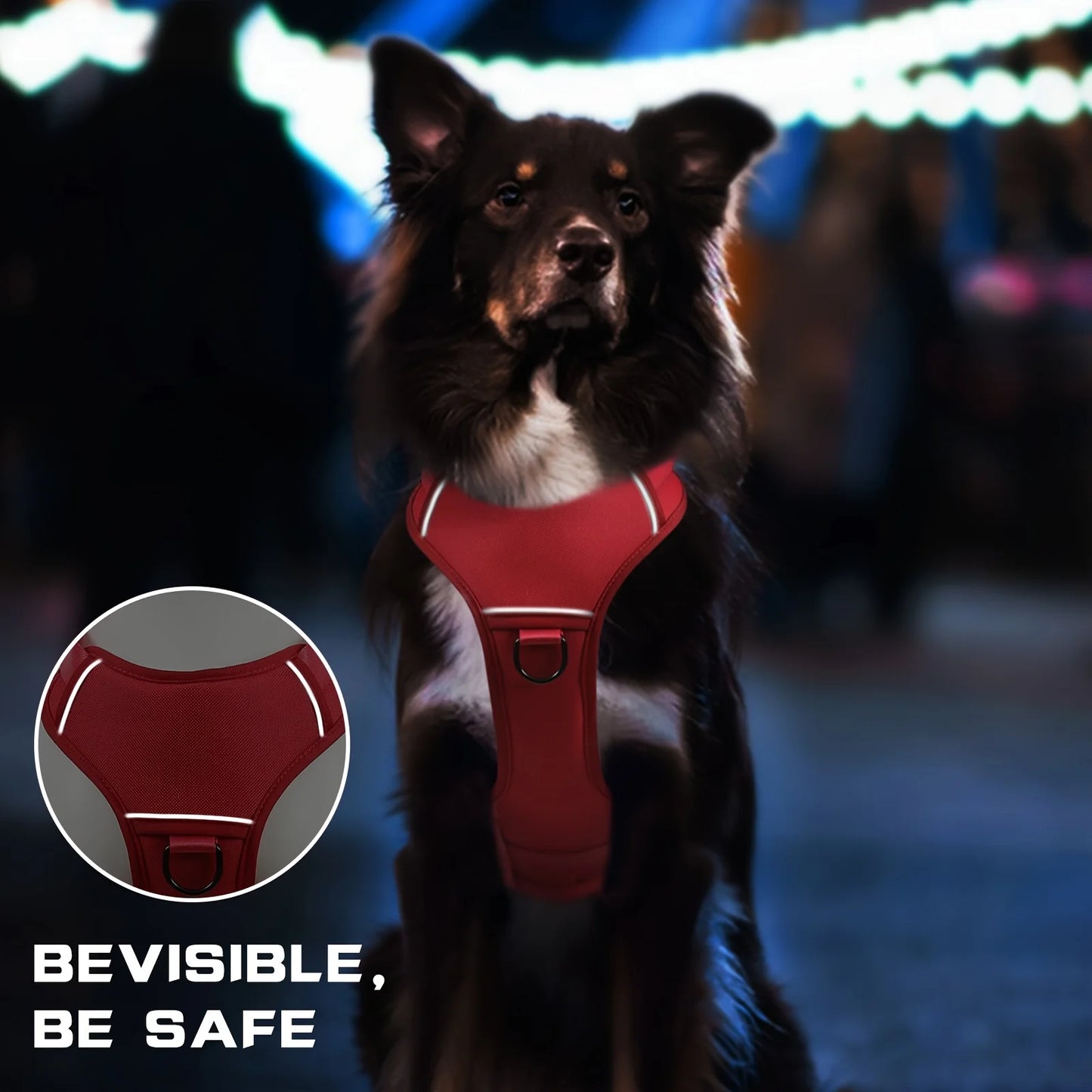 Adjustable No-Pull Design Harness with Reflective Strips